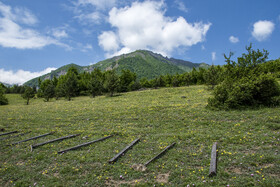 دشت دریاسر در تنکابن - استان مازندران