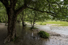 دشت دریاسر در تنکابن - استان مازندران