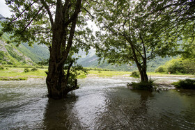 دشت دریاسر در تنکابن - استان مازندران