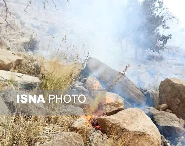 آتشسوزی جنگلهای«نارک»گچساران همچنان ادامه دارد