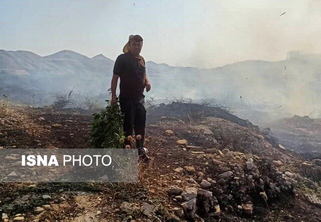 شناسایی و دستگیری ۷ نفر از عاملان آتش‌سوزی جنگل‌های چرام