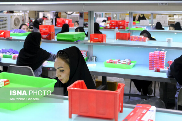 عکس آرشیوی است انعقاد ۵ تفاهمنامه برای ایجاد مشاغل پایدار برای خانوادهها