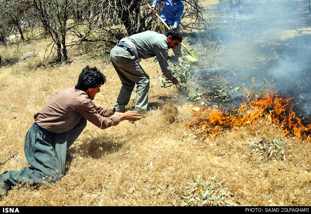 شعلههای بیرحم در قلب زاگرس