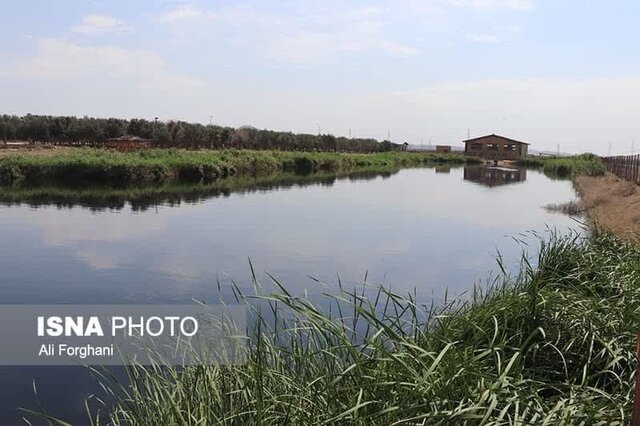 ضربالاجل دادستان ساوه برای تعیین تکلیف پساب صنعتی و لجن هاضم بزرگترین شهر صنعتی کشور