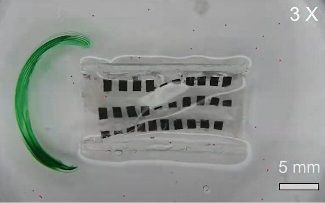 رباتی که به بلع غذا کمک میکند