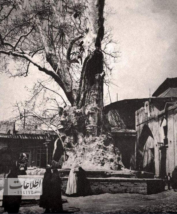 عکس/ امامزاده صالح (ع) ۸۰ سال پیش چه شکلی بود؟