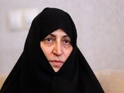 افتخاری: دولت از ظرفیت ایرانیان متخصص داخل و خارج برای بازسازی زیرساخت‌ها استفاده کند