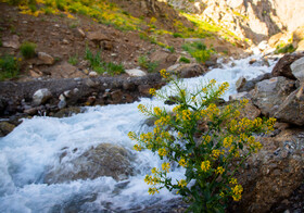 کمندان ازنا در استان لرستان