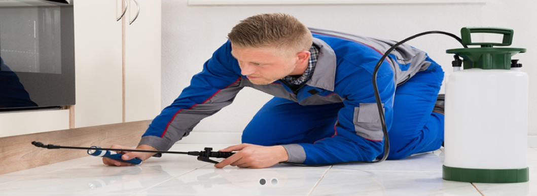 روش دفع سوسک به شکل حرفهای با سم سوسککش ریپلزال