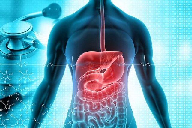 عکس تزیینی است. هلیکوباکتر پیلوری، عمدهترین علت عفونت و التهاب معده