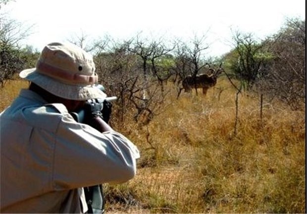 عکس تزئینی است دستگیری دو شکارچی غیرمجاز به جرم شکار آهو در منطقه حفاظت شده فیله خاصه