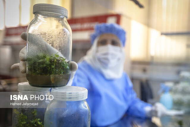 تصویر تزیینی است ۶ واحد قابلیت تبدیل شدن به واحد خلاق را دارند