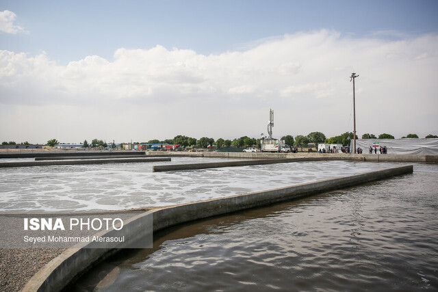 عکس تزئینی است تولید روزانه ۳۰ تن کیک لجن و لزوم استفاده از آن در کشاورزی مازندران