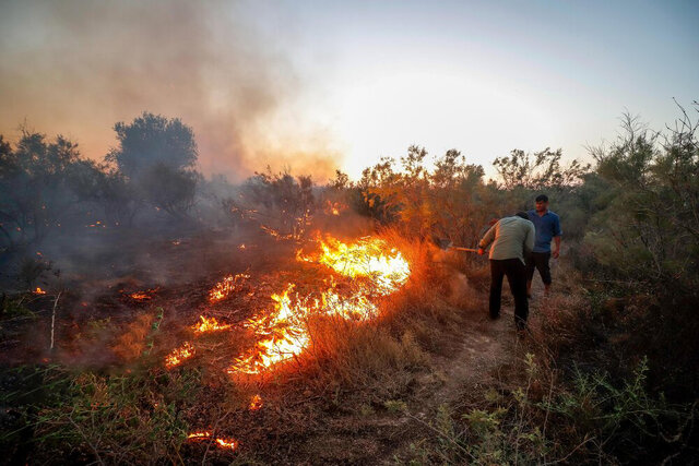 دامن زاگرس در چنگال شعلهها