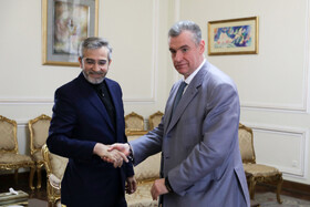 دیدار رئیس کمیته بین الملل دومای روسیه با علی باقری