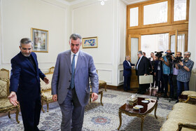 دیدار رئیس کمیته بین الملل دومای روسیه با علی باقری