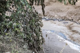 خسارت سیل به اراضی باغی و زراعی روستای افیل در شهرستان اهر