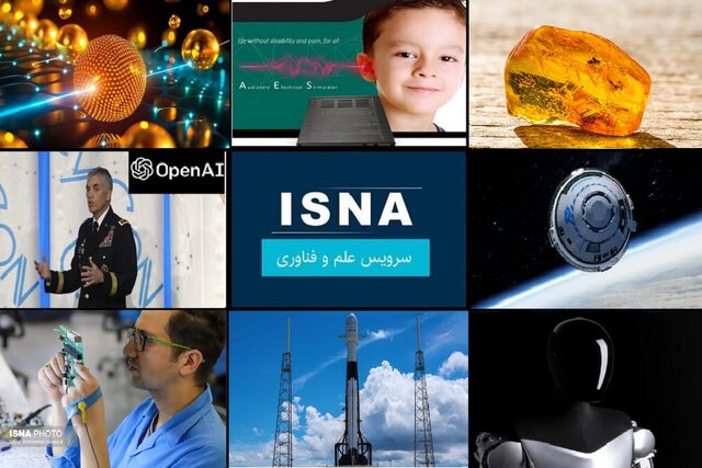 اطلاعات خود را در دل کهربا ذخیره کنید/خارج شدن تولید کیت انتقال ژن از انحصار آمریکا اطلاعات خود را در دل کهربا ذخیره کنید/خارج شدن تولید کیت انتقال ژن از انحصار آمریکا