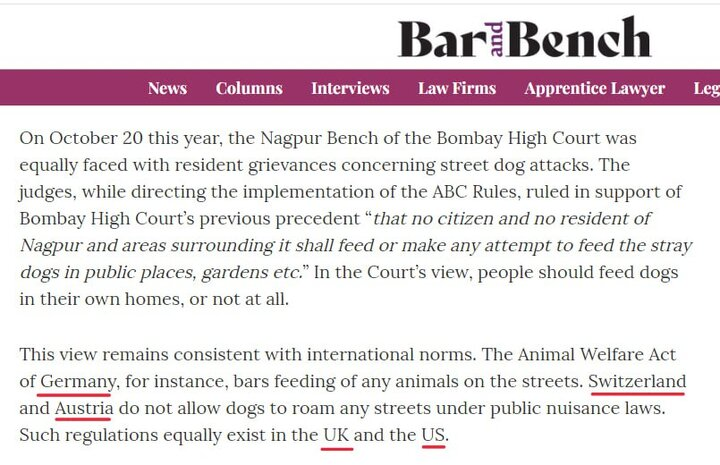 ما به سگ ولگرد غذا میدهیم؛ شما واکسن هاری بزنید!