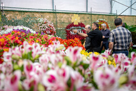 بازدید علی اکبر محرابیان، وزیر نیرو از هجدمین نمایشگاه گل و گیاهان زینتی محلات