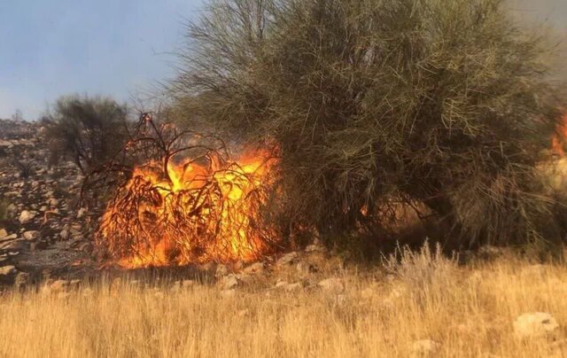 آخرین آمار درباره آتش‌سوزی‌های جنگل‌ها و مراتع تهران