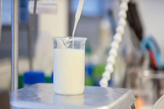 سلامت شیر مصرفی در ایلام رو به افزایش است سلامت شیر مصرفی در ایلام رو به افزایش است