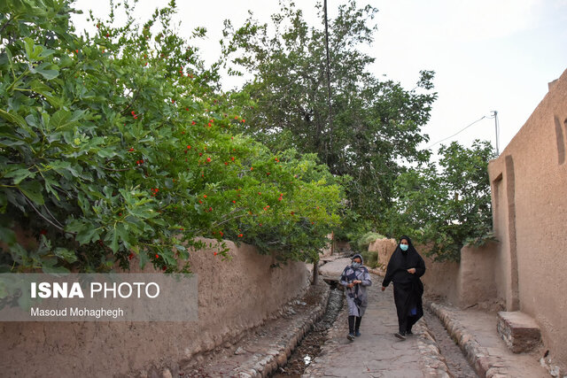 خشک شدن سرنوشت پیش روی باغ‌های سمنان