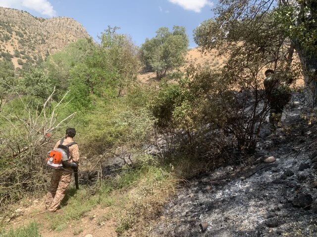 آتشسوزی در جنگلهای آبشار یاسوج مهار شد