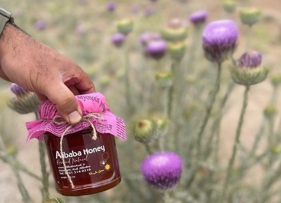 عسل دیابتی چیست/ ۴ دلیل برای استفاده از عسل طبیعی برای مبتلایان به قند خون