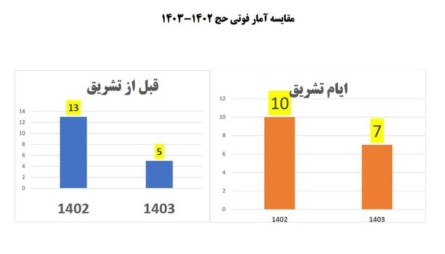 سایه روشن درگذشت حجاج ایرانی در ایام حج+جدول مقایسه‌ای