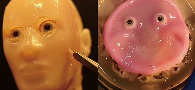 چهره انسانیتر رباتها با کشیدن پوست زنده