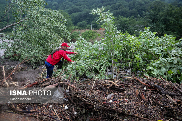 عکس تزئینی است نجات ۱۰ گردشگر مفقودشده در جنگلهای شیرمشه زنجان