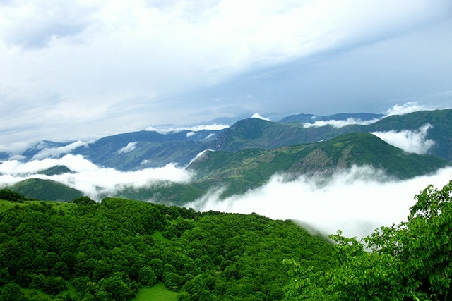 جنگل ارسباران تبریز / بهشت گمشده ایران