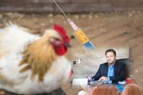 آغاز طرح ردیابی بیماری آنفلوانزای فوق حاد پرندگان در لرستان