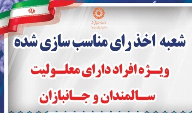 ۱۱ شعبه اخذ رای ویژه معلولان در کرمان اعلام شد ۱۱ شعبه اخذ رای ویژه معلولان در کرمان اعلام شد