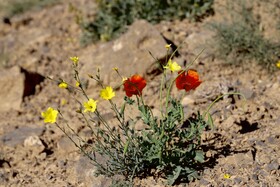 منطقه حفاظت شده هفتاد قله اراک