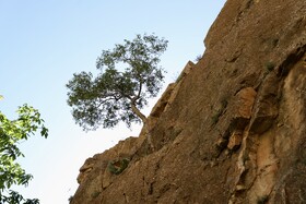 منطقه حفاظت شده هفتاد قله اراک