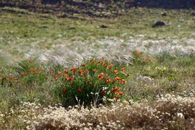 منطقه حفاظت شده هفتاد قله اراک