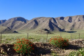 منطقه حفاظت شده هفتاد قله اراک