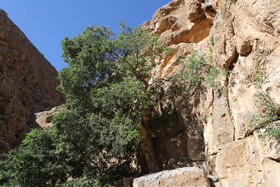 منطقه حفاظت شده هفتاد قله اراک