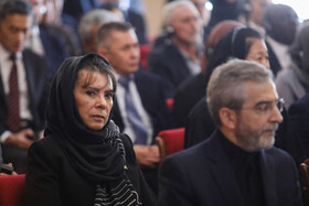 همایش دیپلمات دانشور