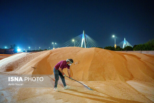 چالشهای تأمین امنیت غذایی در کشورهای در حال توسعه
