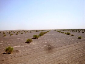 بیابان‌زدایی گامی موثر در بهبود کیفیت هوا