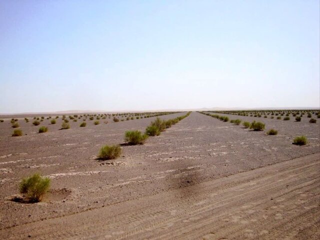 کرمان، پیشانی بیابانزداییِ کشور