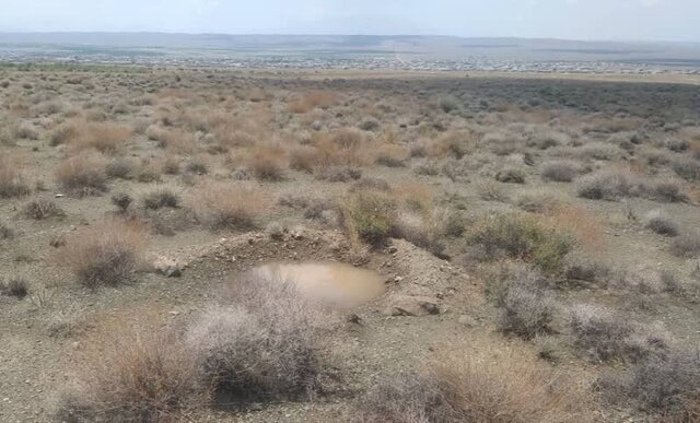 کرمان، پیشانی بیابانزداییِ کشور