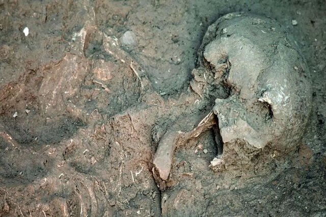 عکس از اینترنت غفلت از اسکلت تازهپیدا شده در تهران!