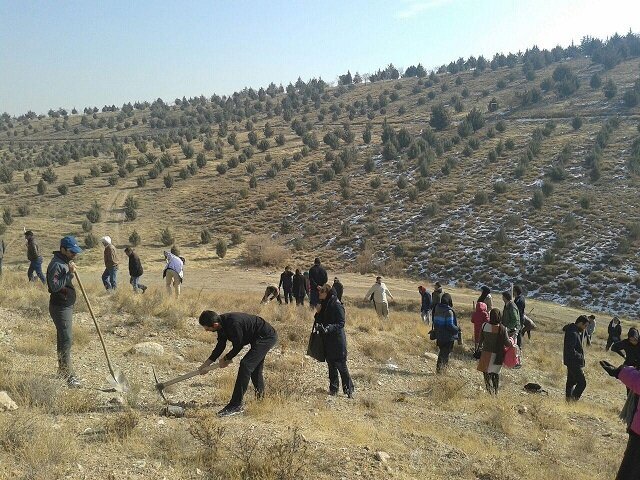 تشکیل ۴۰ تشکل از جوامع محلی در لرستان تشکیل ۴۰ تشکل از جوامع محلی در لرستان