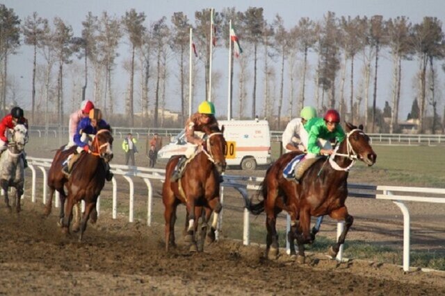 اسبهای خراسان شمالی بالاخره برای استان نام آوری می کنند؟