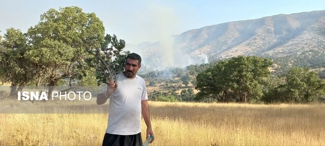 آتش جنگلها و مراتع «سیوک» بویراحمد مهار شد