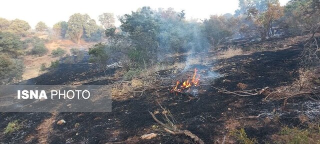 آتش جنگلها و مراتع «سیوک» بویراحمد مهار شد